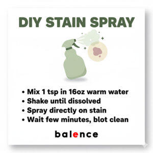 Infographic panel with spray bottle spritzing a stain on fabric, showing step-by-step stain removal instructions.