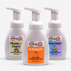 Three Balence Foaming Hand Soap bottles—Monkey Farts, Kumquat, and Stress Relief—lined up on a bright white background, labels vivid and clear for a clean product collection display.