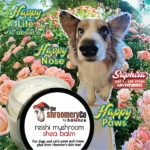 Reishi Mushroom Shea Balm - Non-CBD