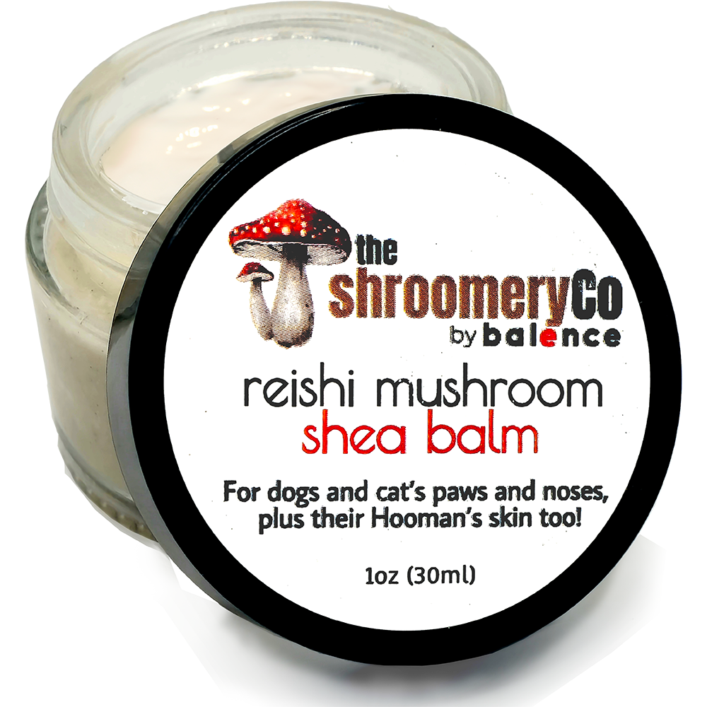 Reishi Mushroom Shea Balm - Non-CBD